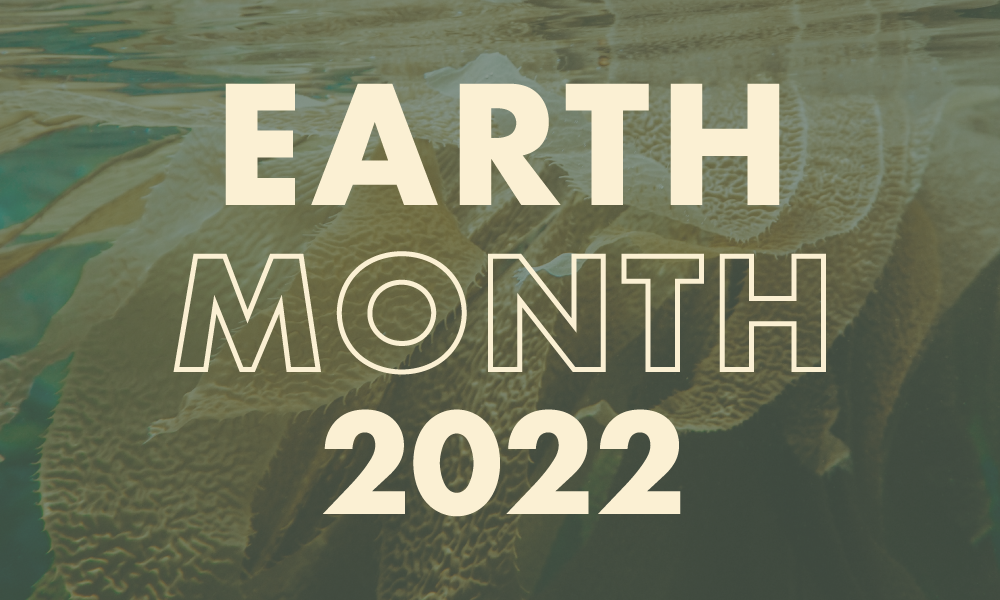 Earth Month 2022 in support of OceanWise