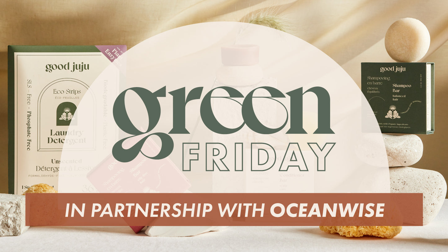 This Green Friday, We're Planting Kelp with OceanWise!