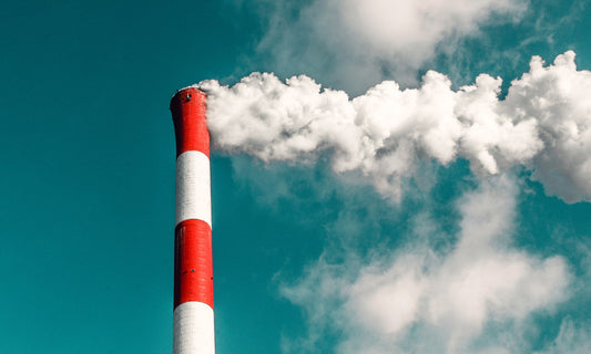 The Carbon Question – How to Help a Warming Planet