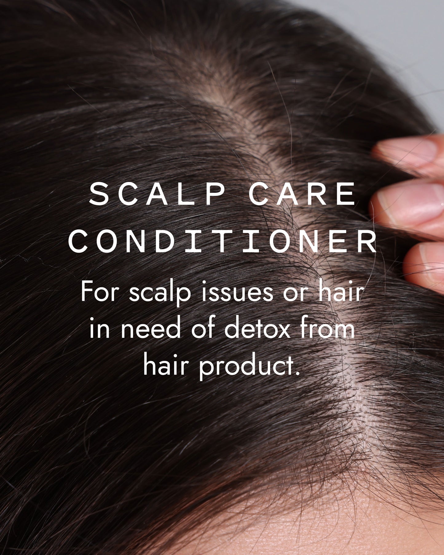 Scalp Care Conditioner Bar