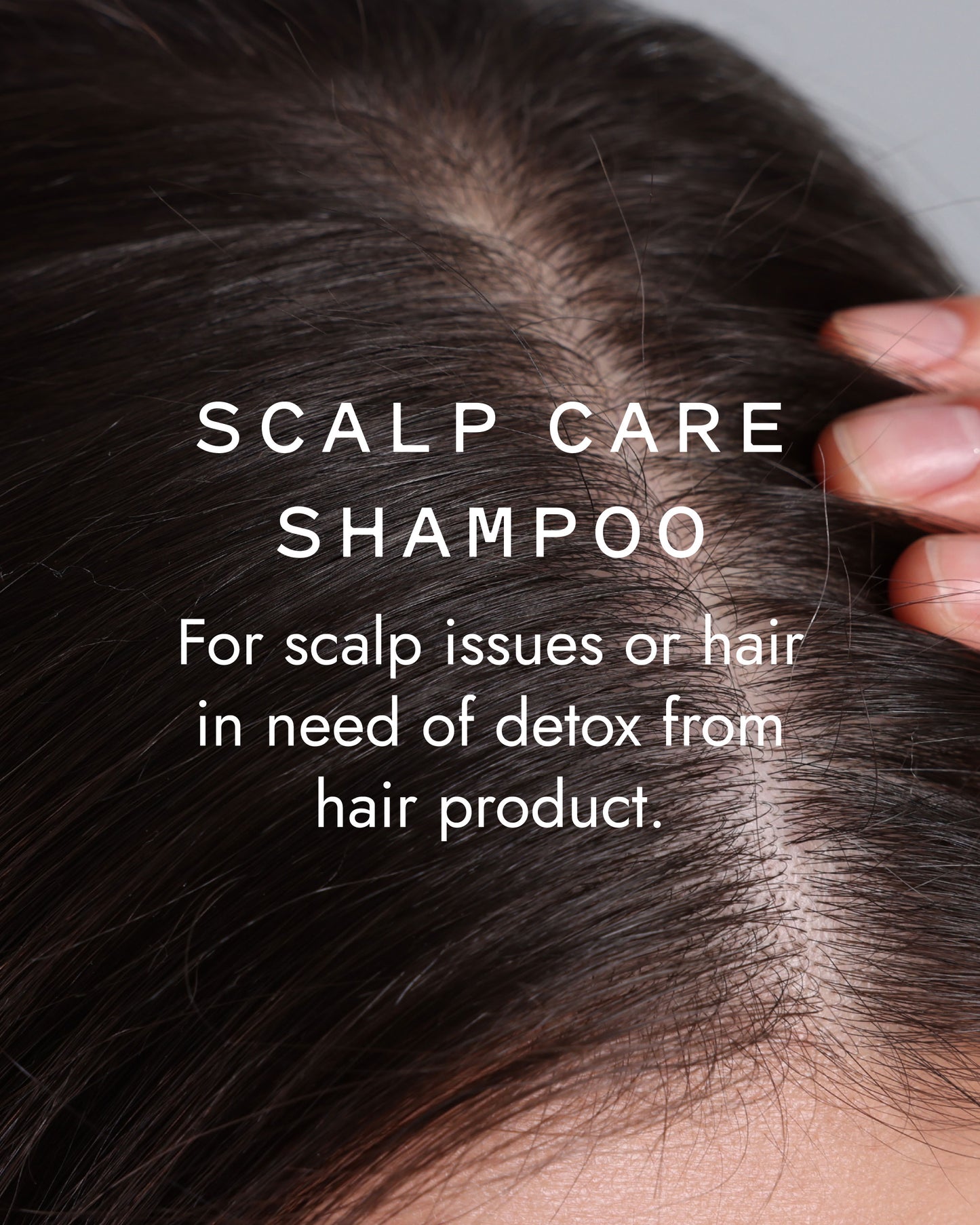 Scalp Care Shampoo Bar