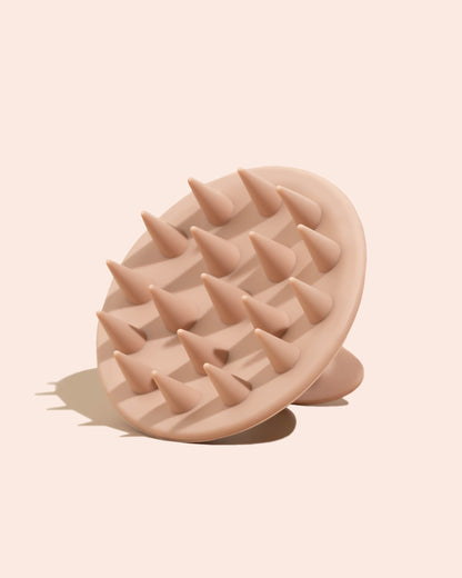 Hair Care Starter Bundle