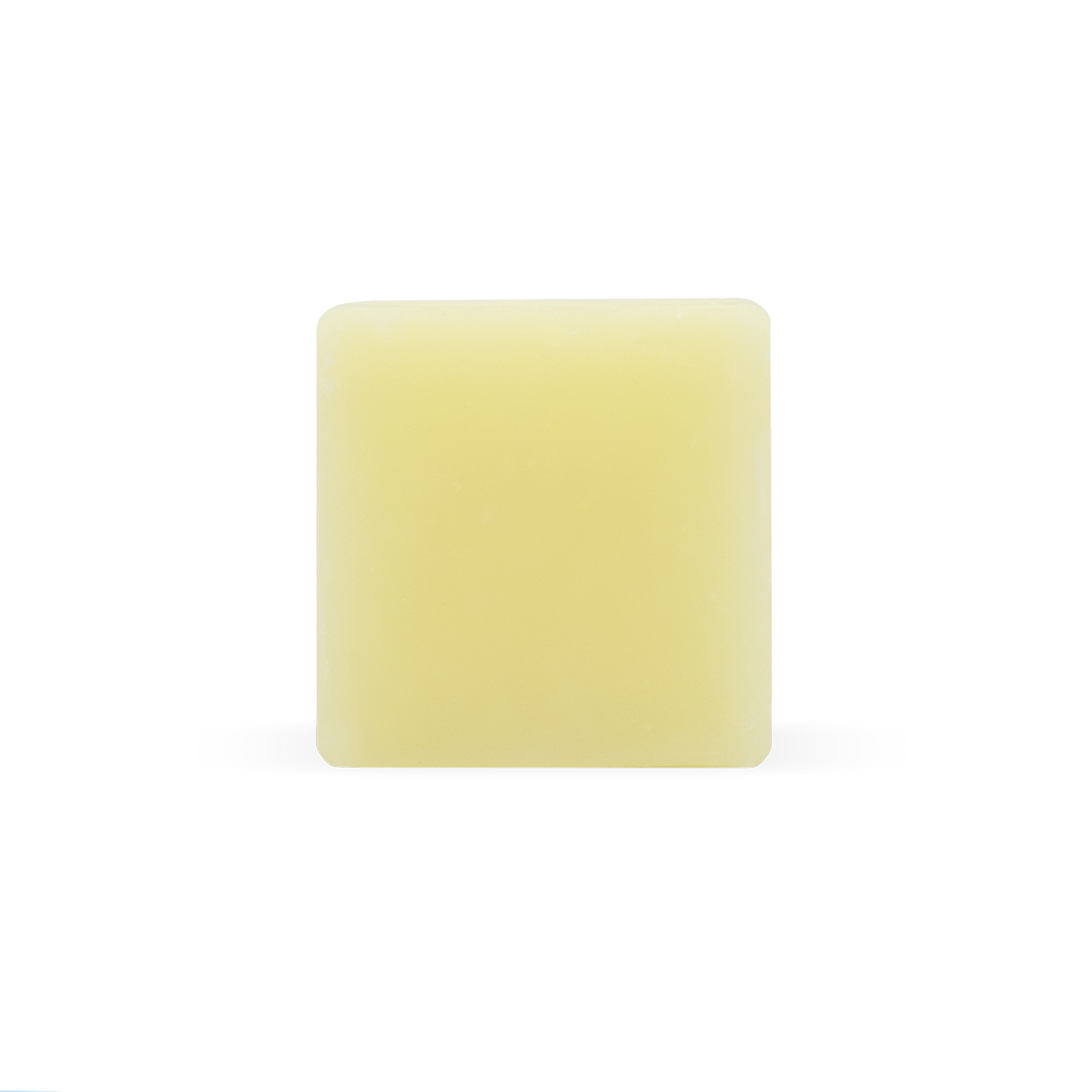 Moisturizing Shave Bar